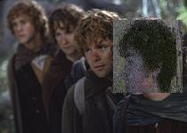 lotr.jpg
