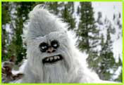 yeti.jpg